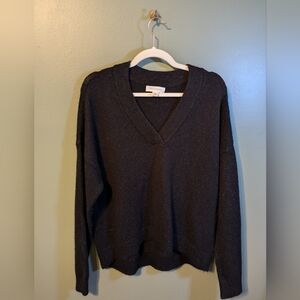 NWT Treasure &Bond Nordstroms Vneck Sweater M oversized